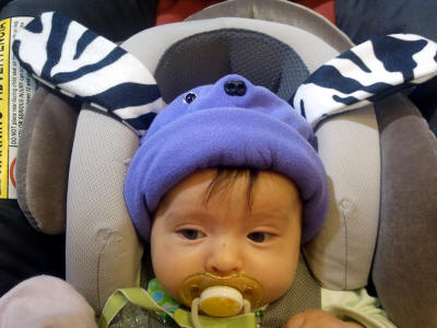 Baby in Dog ears and face hat