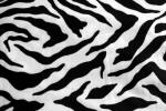 Zebra Single Sided 100wt Fleece For Skirts