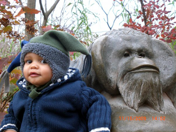 Youth Joker hat at the Clveland Zoo