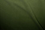 Dusty Forest Green Polar Fleece Skirt material