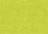 light lime green fleece skirt 100wt lycra warm winter